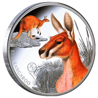 1 oz Niue 2026 Proof - ROTES KÄNGURU / RED KANGAROO - Mammals of Australia  / Säugetiere Australiens High Relief - Silber Color 1$