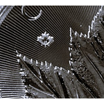 5 oz GRAND Maple Leaf 2026 BU Kanada - Weltneuheit/Worlds 1st - Silber Finish BU 5$ - Erster 5 oz Maple !