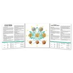 Frankreich 3,88 Euro KMS 2026 BU Kursmünzensatz