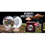 Newsletter 2026_02_Update - KEIN KAUFARTIKEL !  01-02-2026