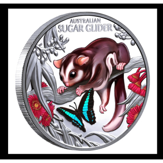 LETZTE 2 zum Sonderpreis* 1 oz Niue 2026 Proof - BABY POSSUM / Sugar Glider - Cute & Cuddly serie - Babytiere Australiens (3) - Color 2 NZ$