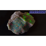 1 oz Australien 2026 OPAL Proof - Jahr des Pferdes / Year of the Horse - LUNARSERIE OPAL - Limitierung 1 pro Kunde! 1 AU$ - Silberpferd