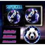 Edition** 30 g PANDA 2025  SUPERCELL COLOR - Pandafamilie in der Gewitter- Superzelle - Silberpanda Farbig -10 Yuan