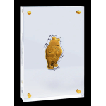 1/4 Unze Gold Niue 2026 Proof - Disney Winnie the Pooh Der HONIGBÄR Figur - Celebrating 100 Years of Winnie the Pooh - 25 NZ$ - Auflage 100 - Einzelstück !