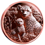 NEU** 1 oz Kupferedition - GEPARDENFAMILIE / CHEETAH...