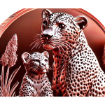 ab Lager* 1 oz Kupferedition - LEOPARDENFAMILIE / Leopard FAMILY - Neue Serie Wilde Tiere / Wild Animals