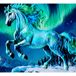 auf Lager - Echtbilder** 5 oz Kupfer/Copper Edtion 2026 - Zum JAHR des PFERDES / YEAR of the HORSE & Polarlichter - High Relief Color - Highlight 2026