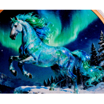 auf Lager - Echtbilder** 5 oz Kupfer/Copper Edtion 2026 - Zum JAHR des PFERDES / YEAR of the HORSE & Polarlichter - High Relief Color - Highlight 2026