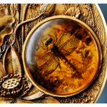 2 oz Samoa 2026 DRAGONFLY / LIBELLE - Neue Serie Bernstein / Amber  (1.) - mit Ostesse-Bernstein / Amber - Silber Antik High Relief Gilded 5 $