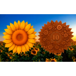 NEU** 10 oz Kupferedition - Die SONNENBLUME / The...