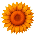 NEU** 10 oz Kupferedition - Die SONNENBLUME / The...