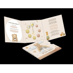 Finnland 3,88 Euro KMS 2026 Coin Card Baby Satz...