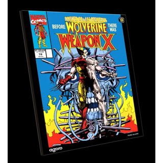 OSTERANGEBOT ab Lager ** 1 oz Niue 2026 FOLIE Proof - WOLVERINE  #72 WEAPON-X  - silber color 2 $
