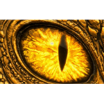 Lagernd ** 5 oz Kupfer-Copper Edition - GOLDENER DRACHE / GOLDEN DRAGON - Wächter des Goldschatzes / Guardian of Gold Treasure - Ultra High relief