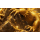Lagernd ** 5 oz Kupfer-Copper Edition - GOLDENER DRACHE / GOLDEN DRAGON - Wächter des Goldschatzes / Guardian of Gold Treasure - Ultra High relief