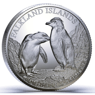 NEU* 1 oz Falkland 2026 BU - PINGUIN / Southern Rockhopper Penguin / Südlicher Felsenpinguin - silber 2 $