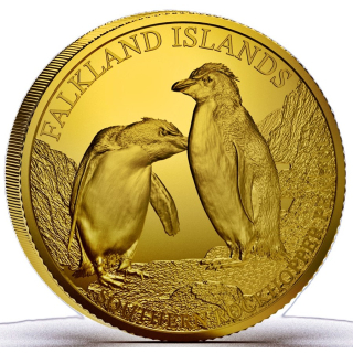 0,5 g Gold Falkland 2026 - PINGUIN / Southern Rockhopper Penguin / Südlicher Felsenpinguin - Goldmünze 50 pence