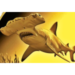 Neu** 0,5 g Gold Kongo 2026 Proof - HAI / SHARK -...