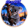auf Lager 10 x 1 oz Kupferedition - KOALA im Schnee - Tiermotive in der Natur - STARTMOTIV Colorserie Farbig Kupfer