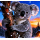 auf Lager 10 x 1 oz Kupferedition - KOALA im Schnee - Tiermotive in der Natur - STARTMOTIV Colorserie Farbig Kupfer
