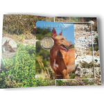 2 Euro Malta 2026 BU Coin Card - Pharaonenhund