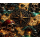 aufgrund hoher nachfrage** 1 oz Kupferedition Color - Der PIRATENSCHATZ von SKULL ISLAND / TREASURE Skull Island - Kupfer Color - VORVERKAUF - PRESALE !