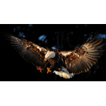 1 oz Australien 2026 Color - Wedge Tailed Eagle &...