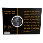 1 oz Australien 2019 FUNNEL WEB SPIDER Black Ruthenium Gilded Coin Card - Trichternetzspinne - Silber Coin Card 1 $
