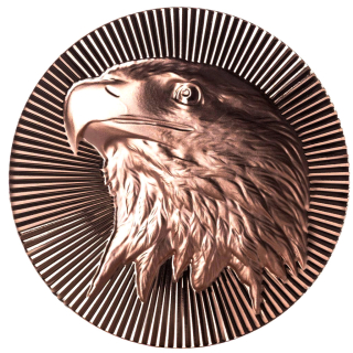 NEU* 1 oz Kupfer Copper USA 2026  Stacker - ADLER / EAGLE - Seeadler / Bald Eagle - Ultra High Relief Konkav/Konvex - Scottsdale Mint