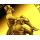 0,5 g Gold Kongo 2026 Proof - Marlene Dietrich 125. Geburtstag - Filmikone  & Hollywood Superstar - 100 Frs