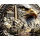 ab Lager** 26 g Bimetall Edition - 250 Jahre Amerika 1776 - 2026 - Unabhängigkeit - American Eagle - Echtbilder