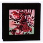 lagernd * letzte zum sonderpreis* 1 oz Niue 2026 Proof - PURPURFINK & MAGNOLIEN / Birds of Beauty PURPLE FINCH - Silber Color Farbig 2 NZ$