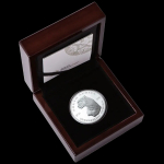 NEU*** 2 oz Silber Cheetah 2026 Künstler Ausgabe - Südafrika - High Relief - Proof