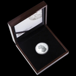 NEU*** 5 oz Silber Cheetah 2026 Künstler Ausgabe - Südafrika - High Relief - Proof