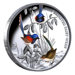 1 oz Niue 2026 Proof - FAIRY WREN Prachtstaffelschwanz -...
