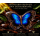Neu* 5 oz ADVP Kupfer/Copper SHAPE Edition - Schmetterling Shiloutte - Kupferedition - Vorverkauf Presale