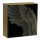 1 Unze Gold Australien 2026 High Relief Proof -  SCHWAN SWAN - 100 AU$ Perth Mint Australien