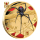 1 oz Gold Niue 2026 Proof PRIVY MARK - 20 Jahre RED BACK SPIDER / ROTRÜCKENSPINNE - 20th Anniversary - gold  color 100 $