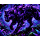 Neu ** 5 oz ADVP Kupfer-Copper Proof Edition -  SCHWARZER PANTHER / Der Lautlose Jäger der Nacht - Color High relief - Vorverkauf / Presale!