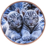 Neu* 5 x 1 oz Kupferedition - WEISSER TIGER & TIGERBABIES im Himalaya / White Tiger - Wächter des Himalayas - Tiermotive in der Natur (3) - DoppelFarbig Kupfer - VORVERKAUF - PRESALE ! - nur bei Aurinum !