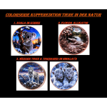 Letzte 3 SETS*  5 x 1 oz Kupferedition - WEISSER TIGER & TIGERBABIES im Himalaya / White Tiger - Wächter des Himalayas - Tiermotive in der Natur (3) - DoppelFarbig Kupfer - VORVERKAUF - PRESALE ! - nur bei Aurinum !
