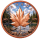 NEU** 1 oz Kupfer - MAPLE LEAF Color - Kupfer-Nachprägung Maple Leaf Kanada - Keine Währung