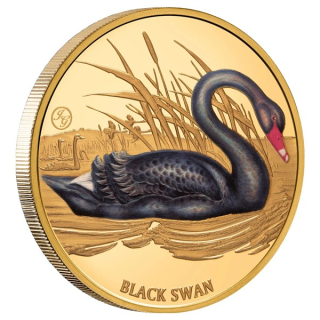 auf Lager - 1 oz Gold Niue 2026 Proof - Trauerschwan - BLACK SWAN - Schwarzer Schwan - John Gould Edition Birds of Australia - Auflage 50 ! 100 NZ$