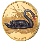 auf Lager - 1 oz Gold Niue 2026 Proof - Trauerschwan - BLACK SWAN - Schwarzer Schwan - John Gould Edition Birds of Australia - Auflage 50 ! 100 NZ$