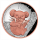 auf Lager**  5 oz Australien KOALA 2026 Proof Silber Rosegold High Relief - 8$ - EINZELSTÜCK