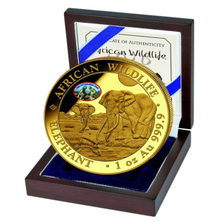 1 oz Gold Somalia Elefant 2026 Privy ANA Pittsburgh  - Serie African Wildlife - ELEFANTENMOTIV 2027 mit farbigem Privy Mark