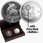Neu * 2 x 1 oz Südafrika 2026 Proof - BÜFFEL / BUFFALO & KRUGERRAND Privy Büffel - Silber Big Five Serie III