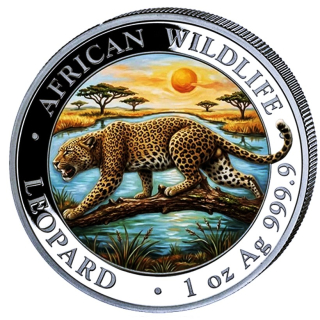 in Kürze** 1 oz Somalia 2026 COLOR - LEOPARD - African Wildlife - Premium Silber Anlagemünze -100 Shillings