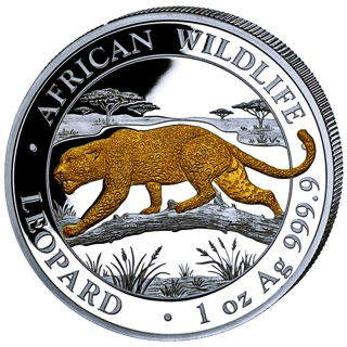 in Kürze** 1 oz Somalia 2026 GILDED - LEOPARD - African Wildlife - Premium Silber Anlagemünze - 100 Shillings