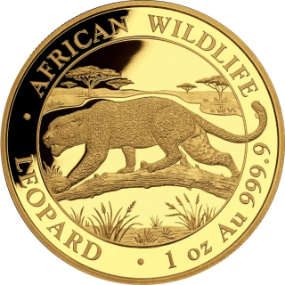 1 Unze Gold Somalia 2026 BU - LEOPARD - African Wildlife